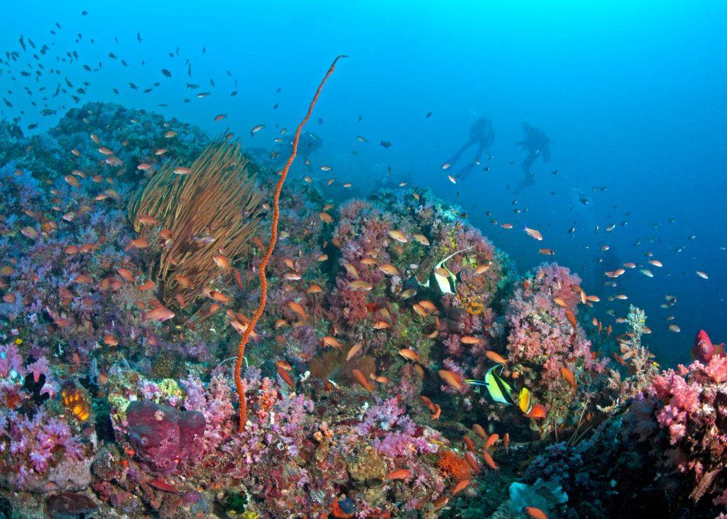 Underwater photography Hole in the Wall Puerto Galera
