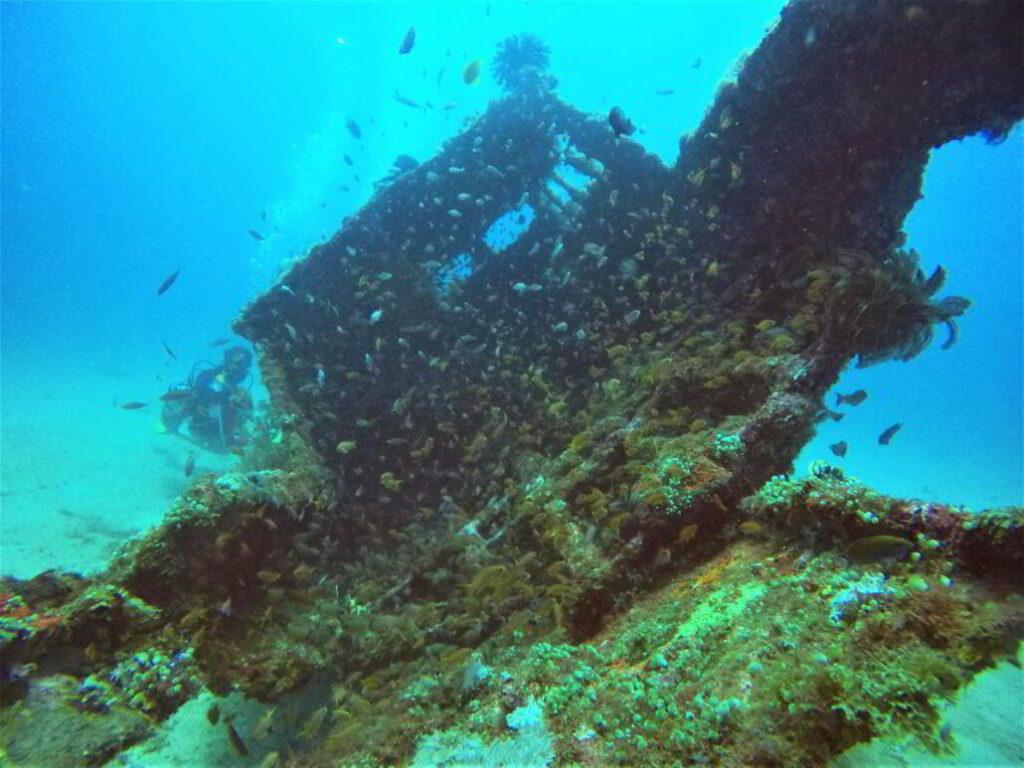 Underwater photography at Sabang Wrecks
