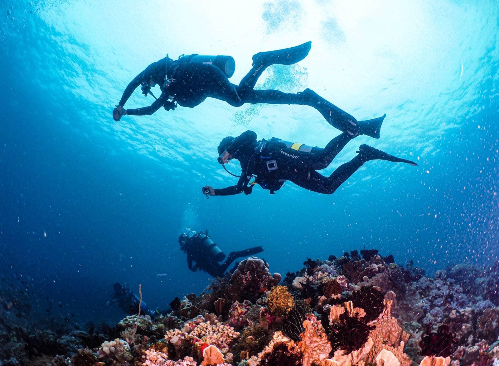 Scuba Diving in Puerto Galera